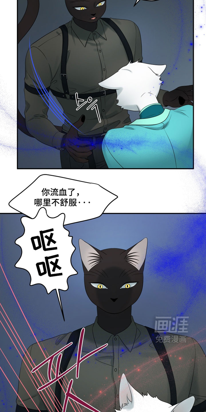第190话25