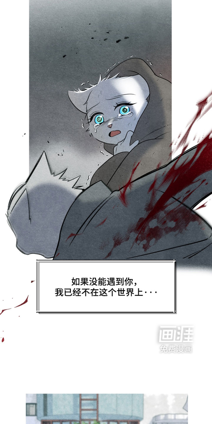第190话14