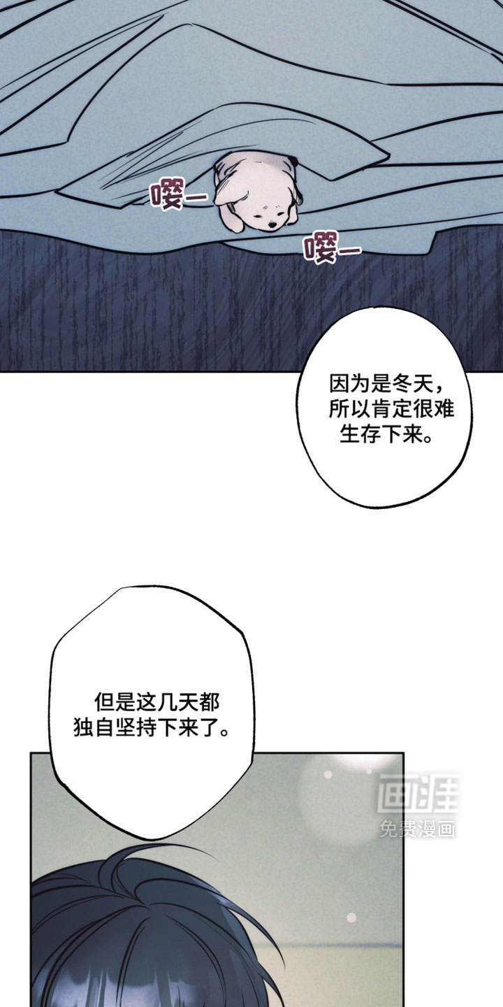 第103话24