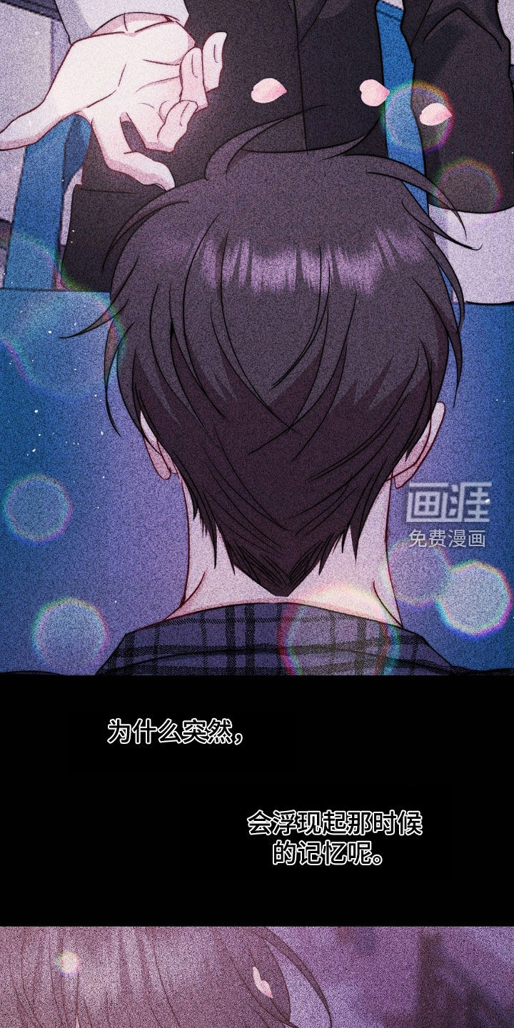 第31话11
