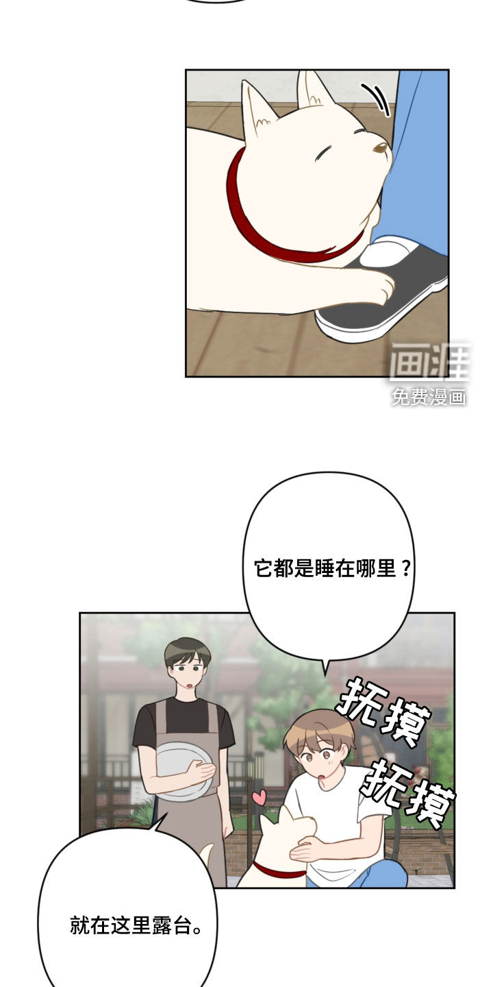 第98话19