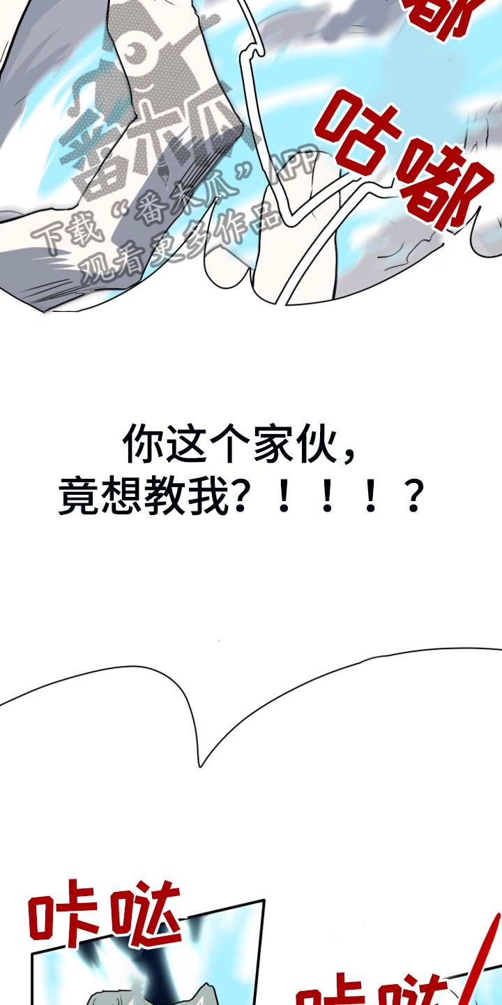 第240话16
