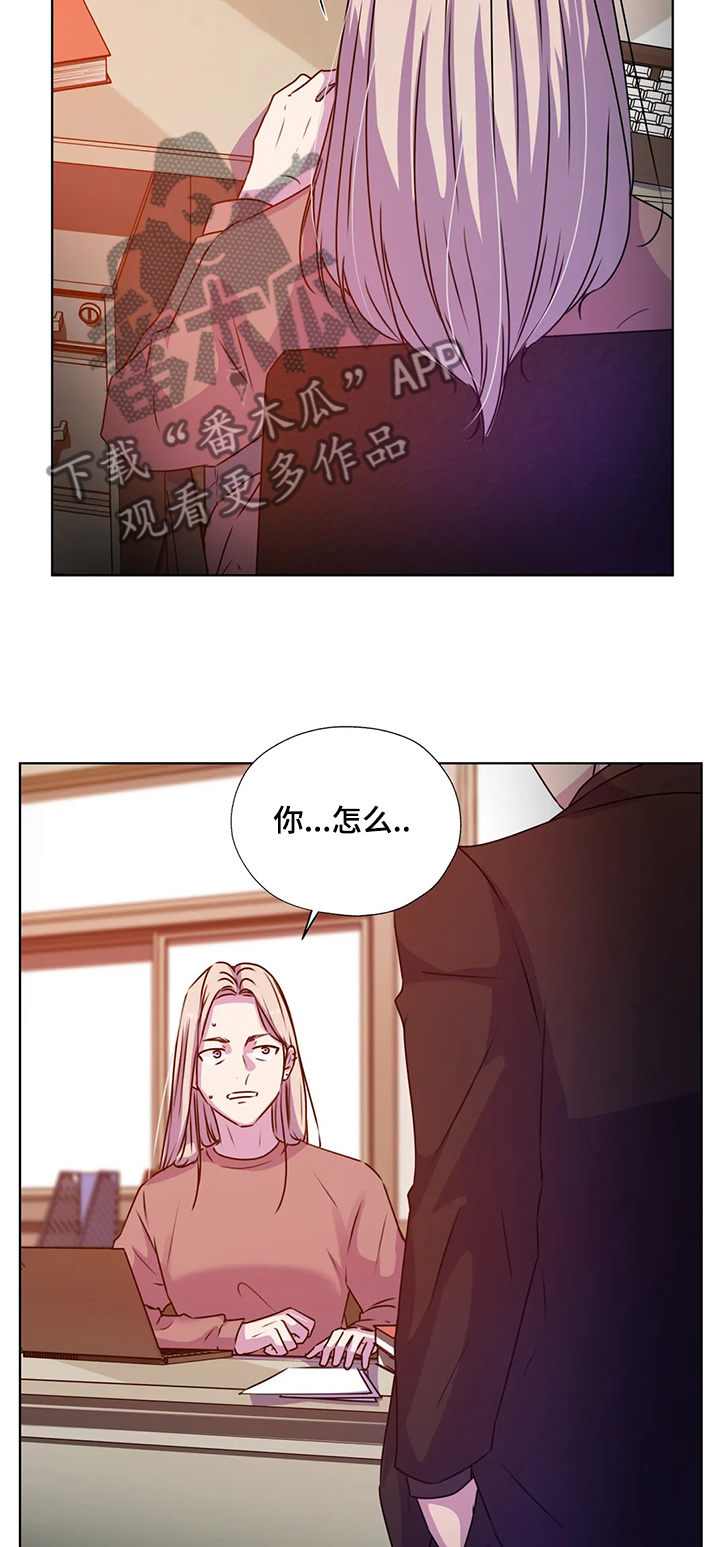 第131话11