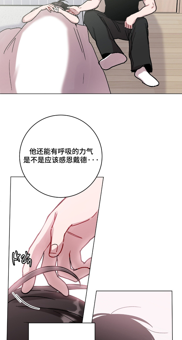 第167话24