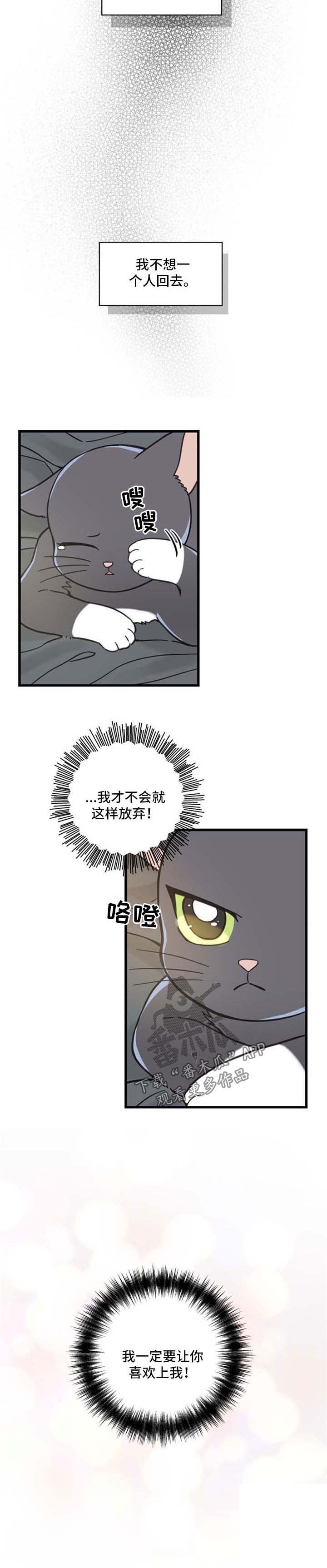 第85话9