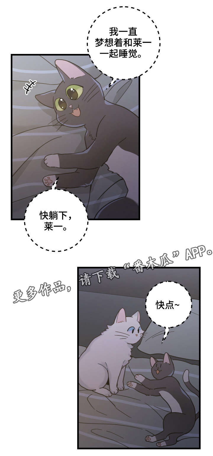 第39话5