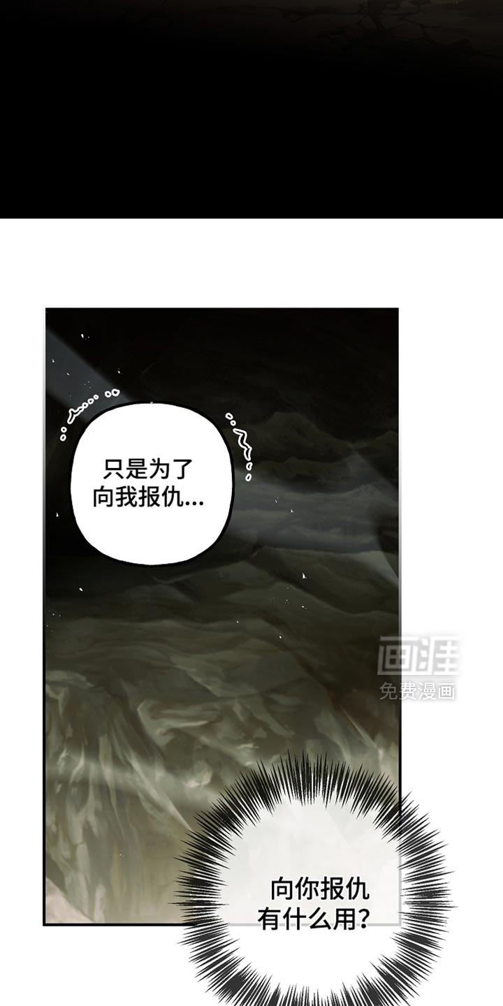 第116话14