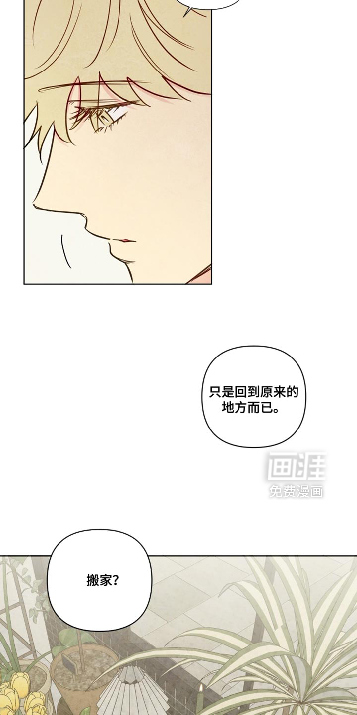 第77话5