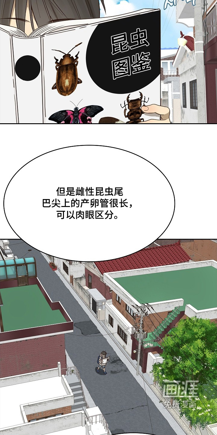 第49话14