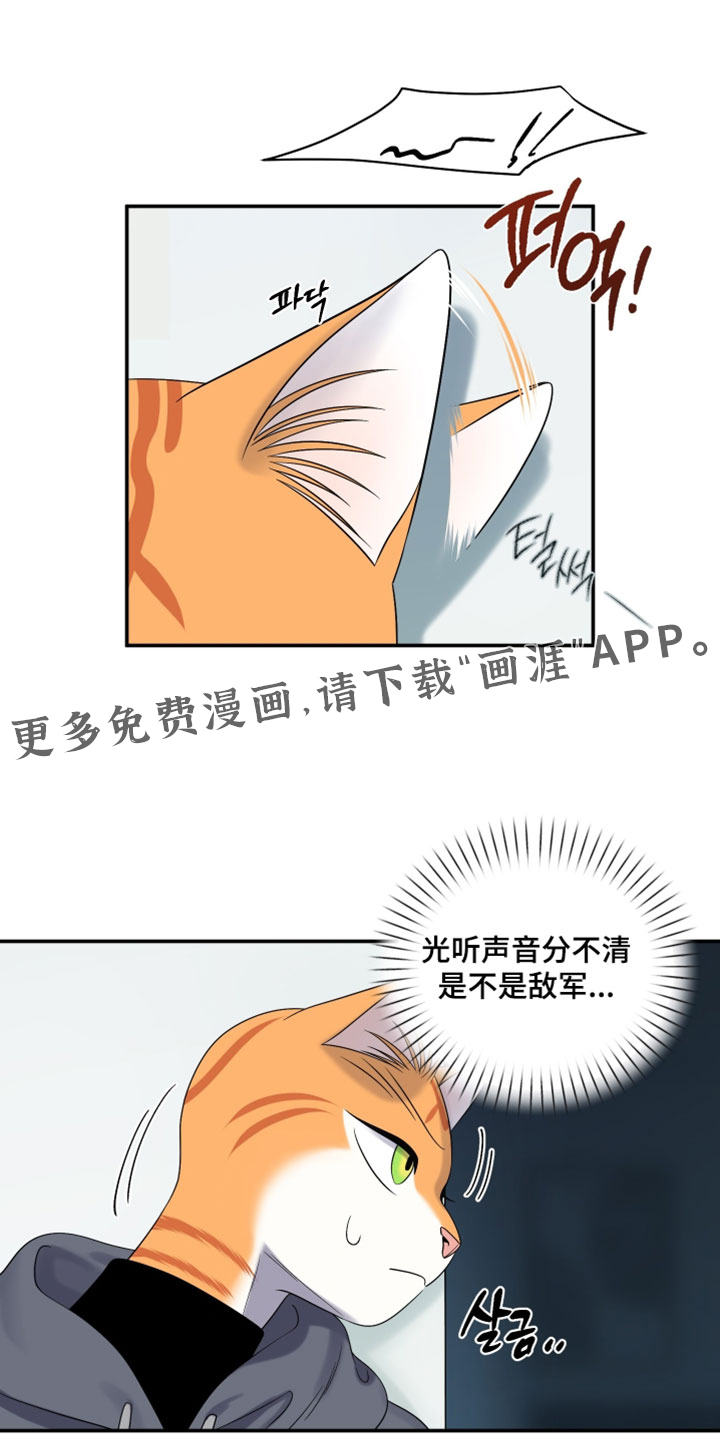 第196话18