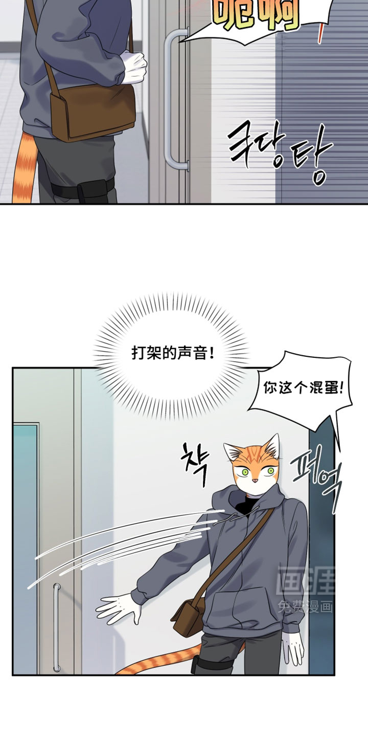 第196话17