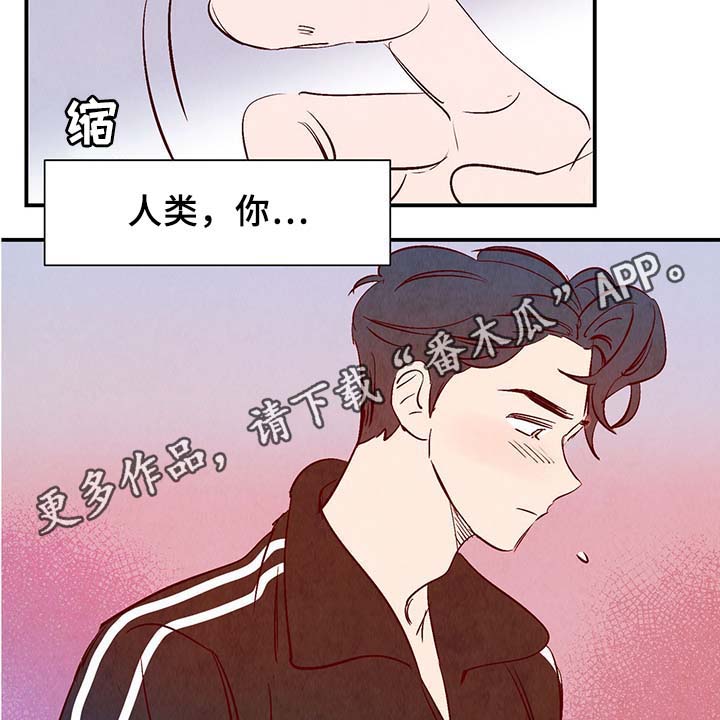 第33话20