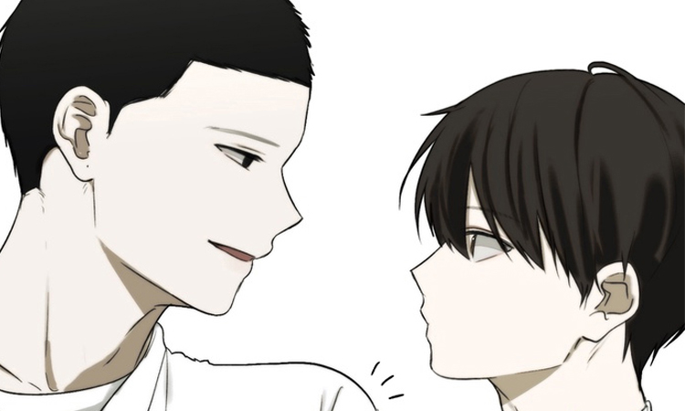 不良少年饲养手册