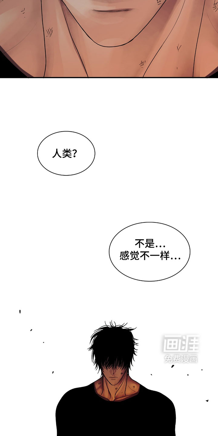 第121话16