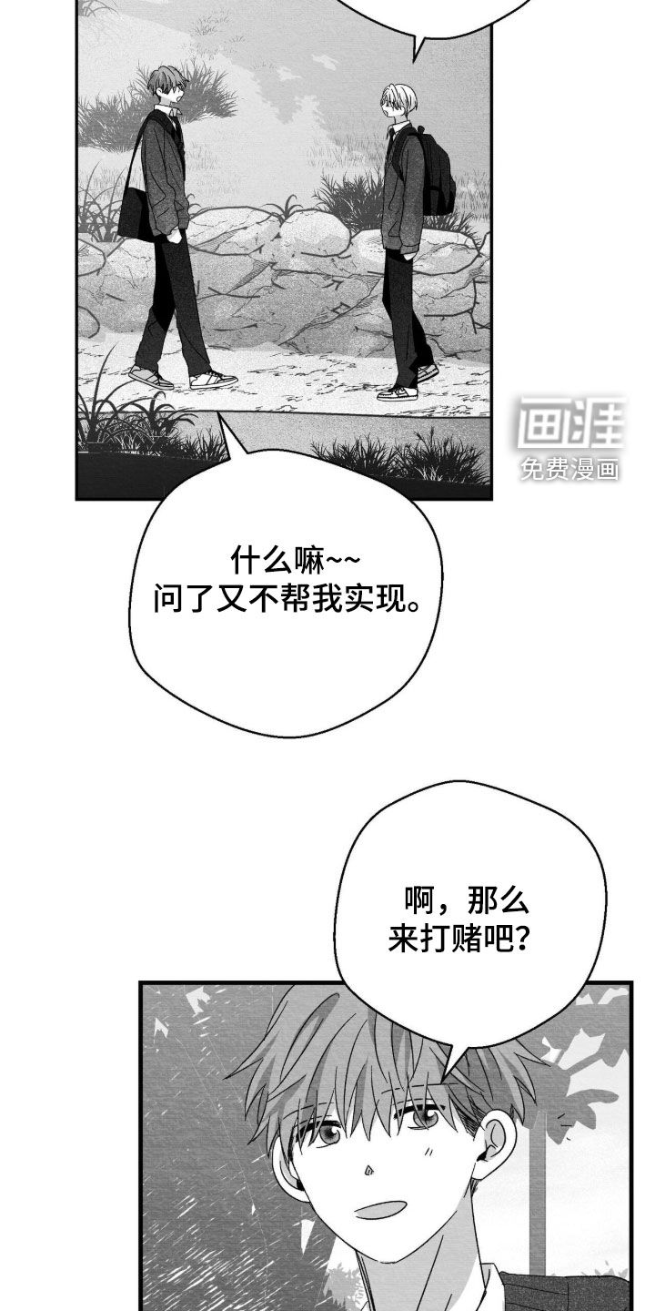 第119话12
