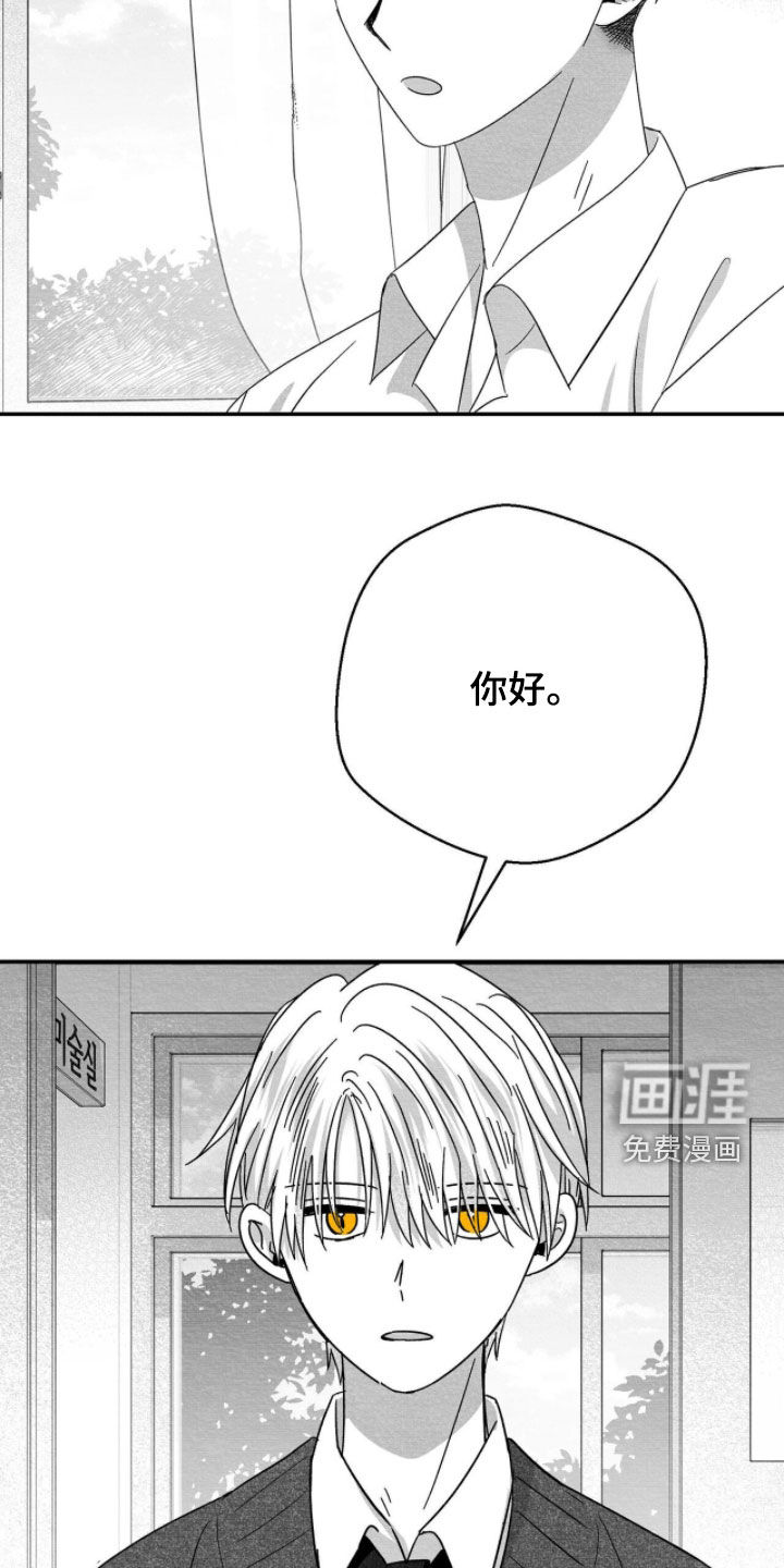 第110话19
