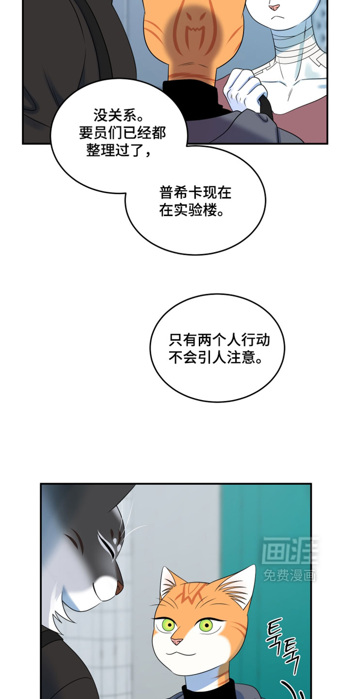 第203话11