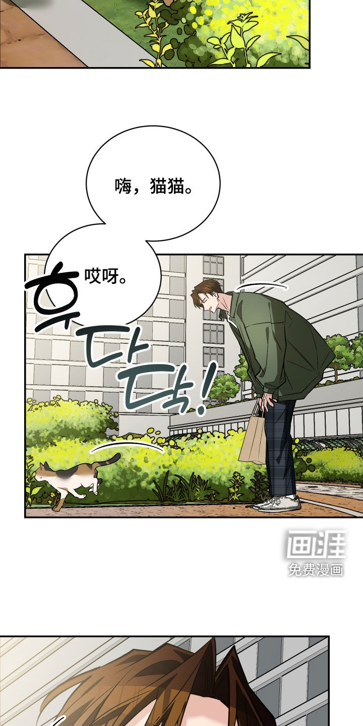 第56话13