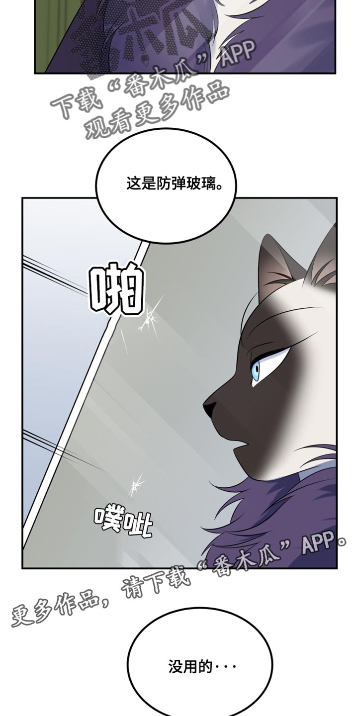 第147话19