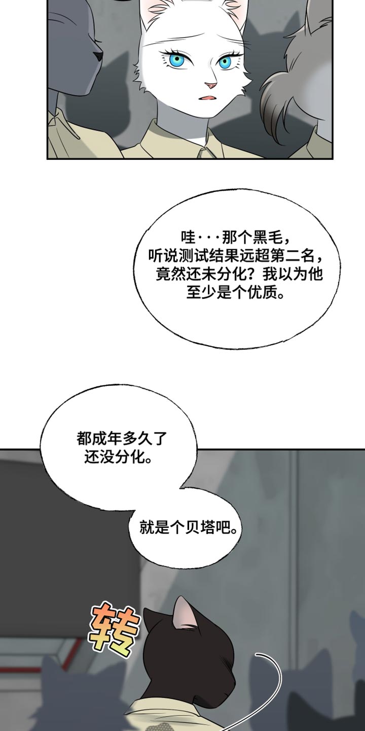 第151话13