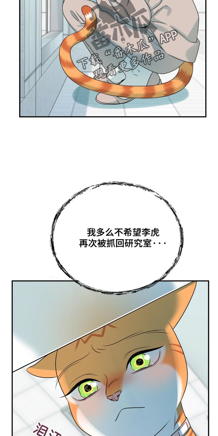 第160话11