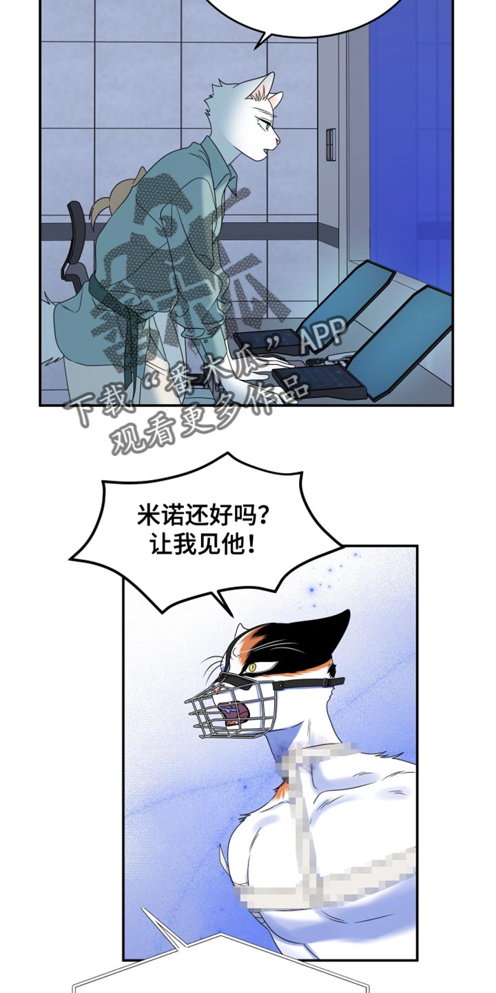 第163话4