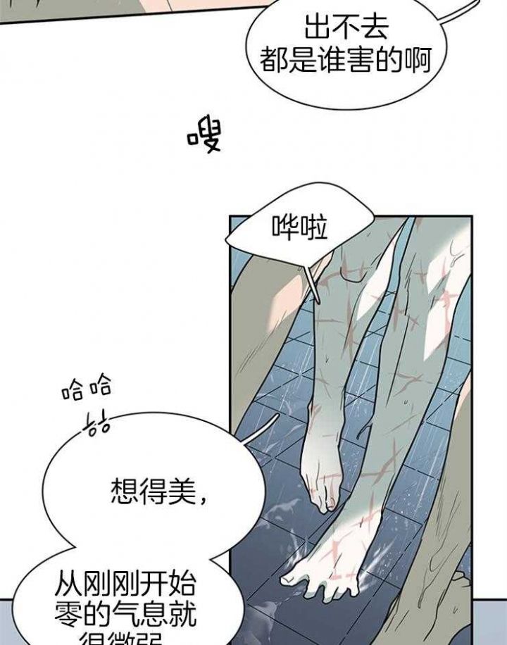 第164话15