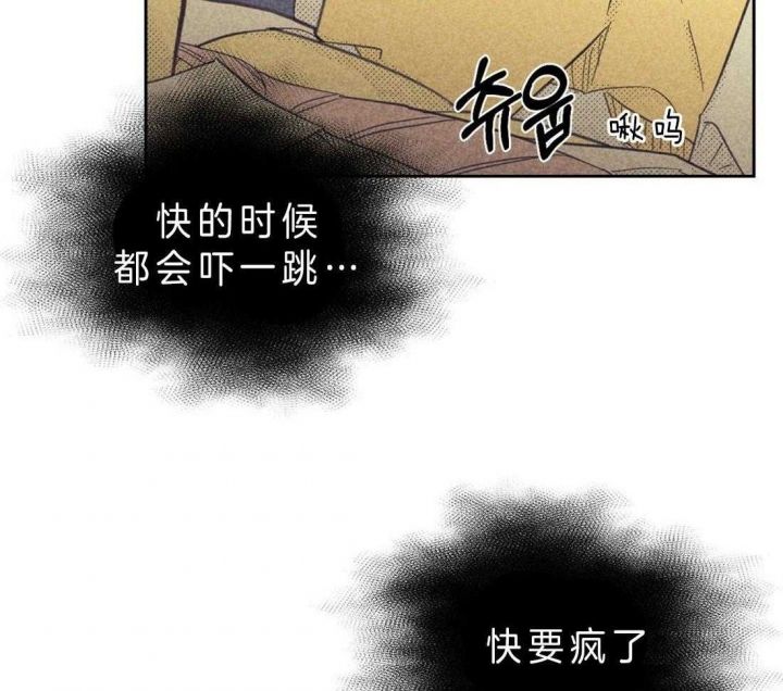 第117话24