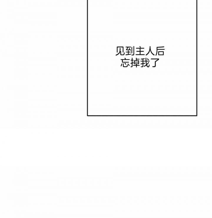 第33话21