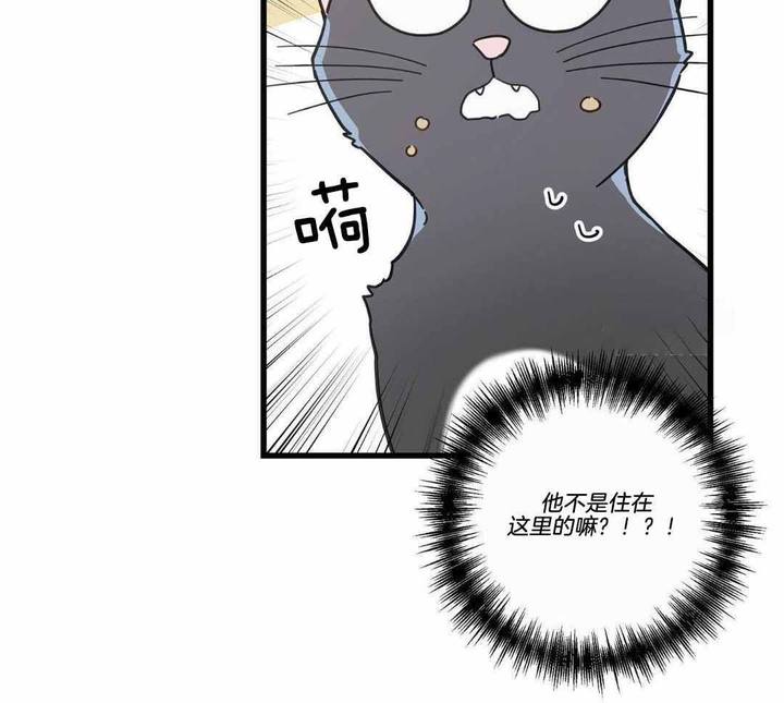 第35话28