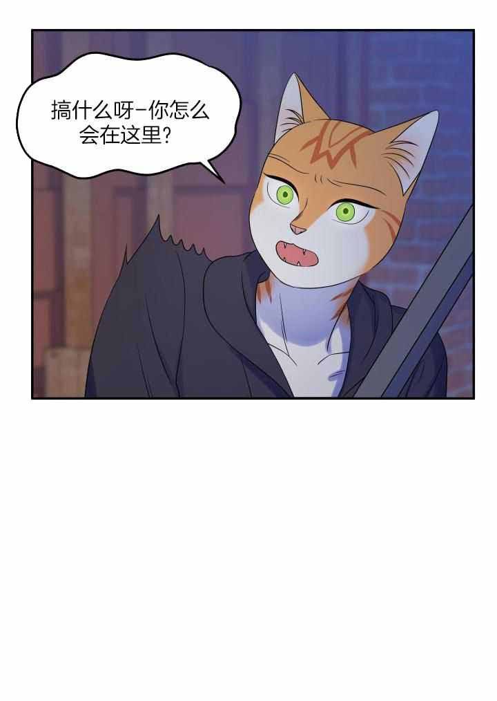 第35话25