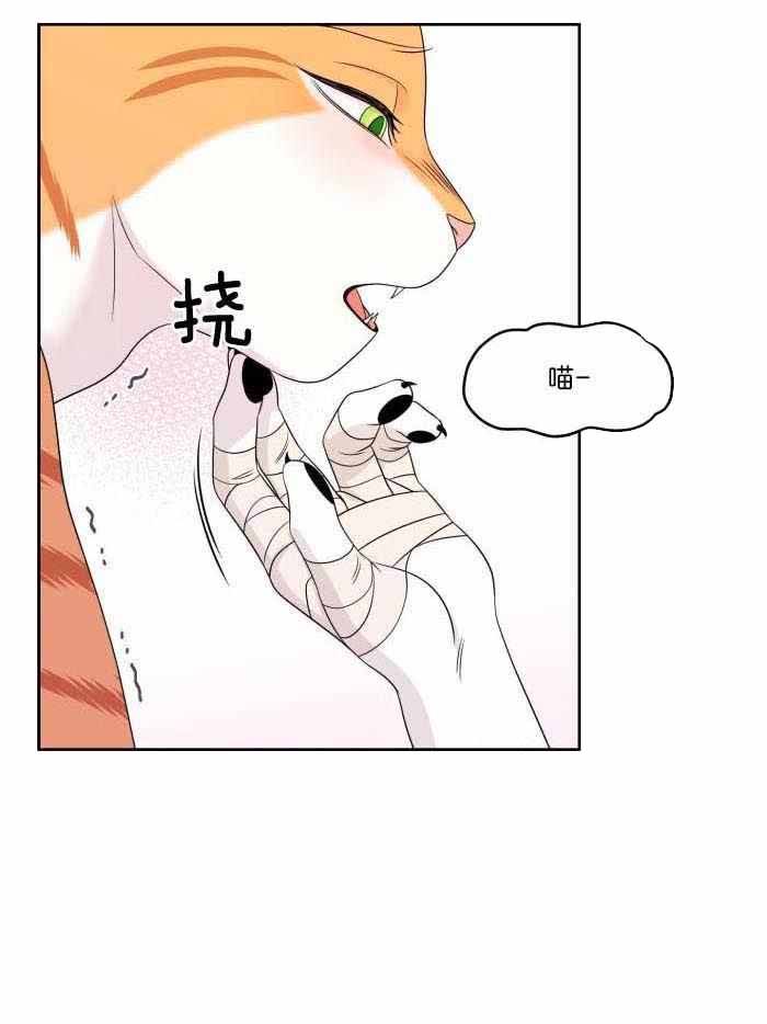 第49话8