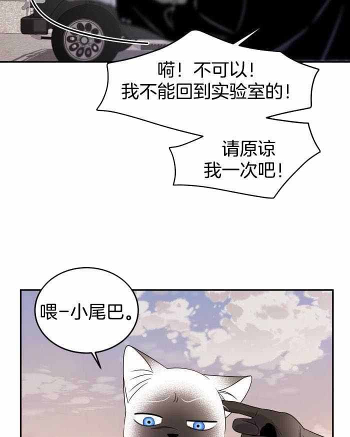 第61话33