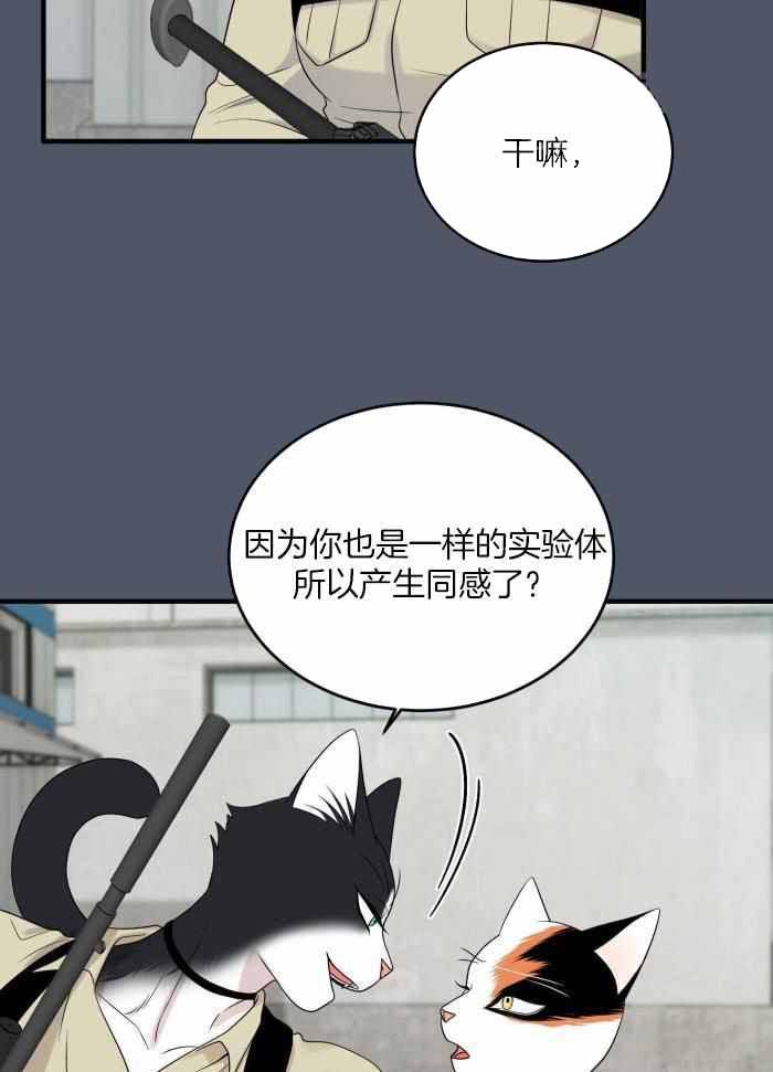 第85话7