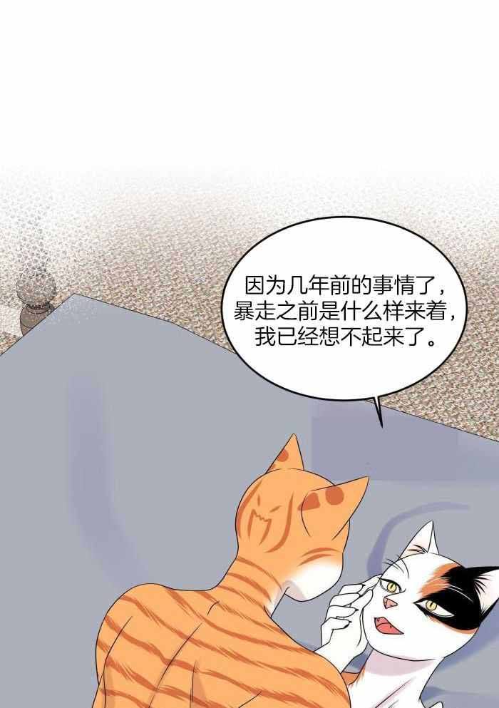 第100话9