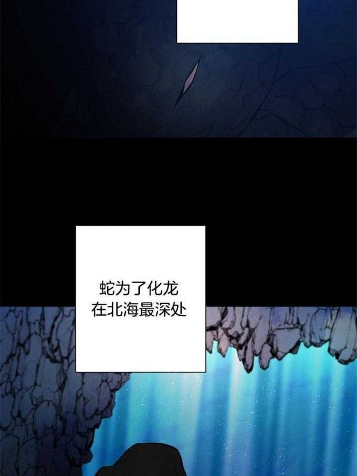 第54话4