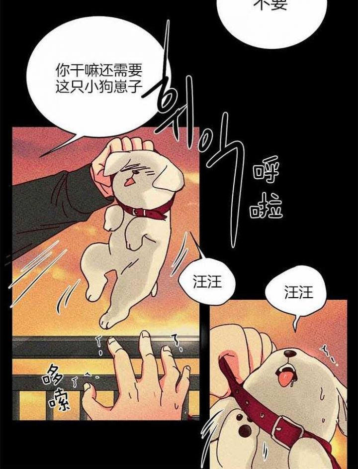 第54话7