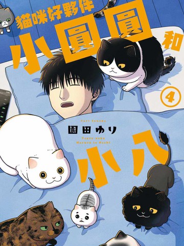 猫咪好伙伴小圆圆和小八 漫画