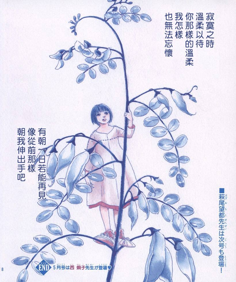 油菜花7