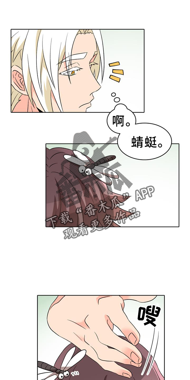 第68话11