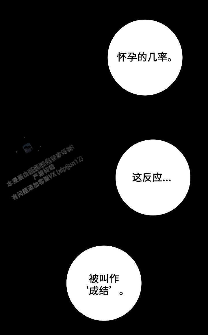 第51话36