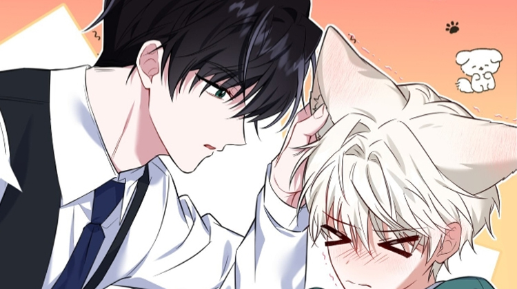 弗林的狐狸饮料漫画免费_banner