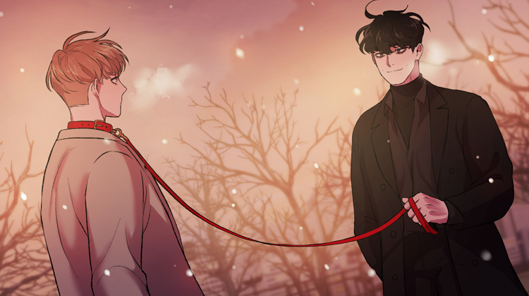 致幻_banner