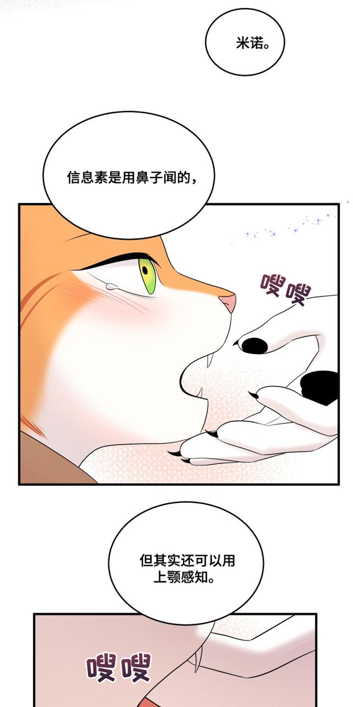 第104话10