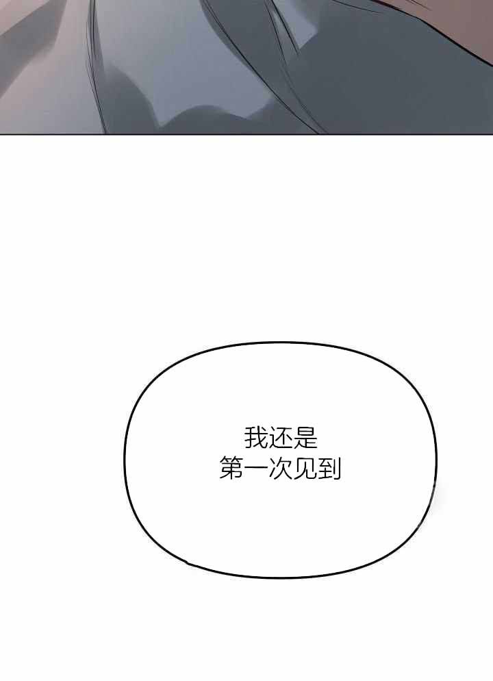 第88话17