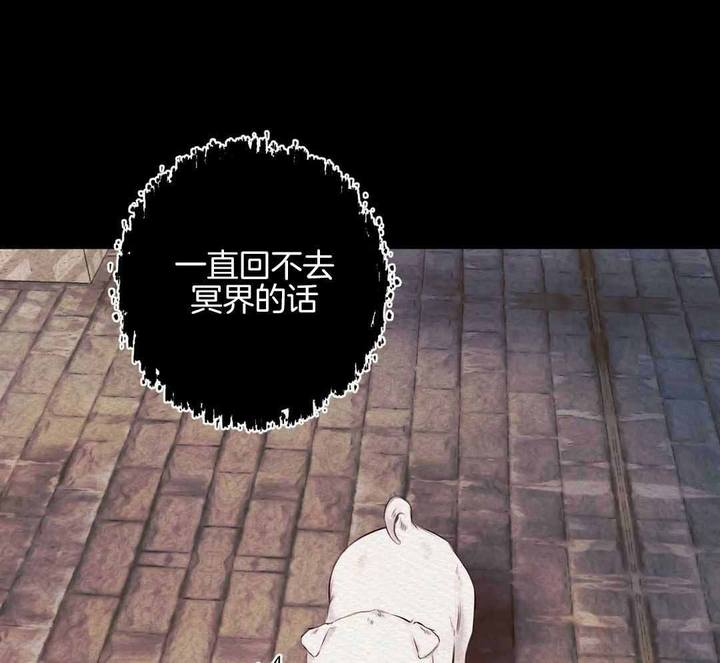 第24话15