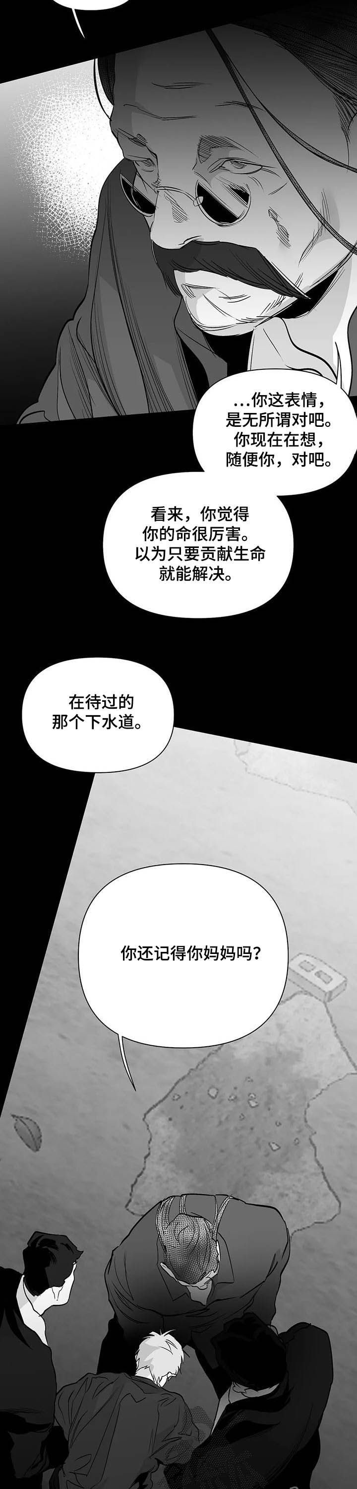 第137话5