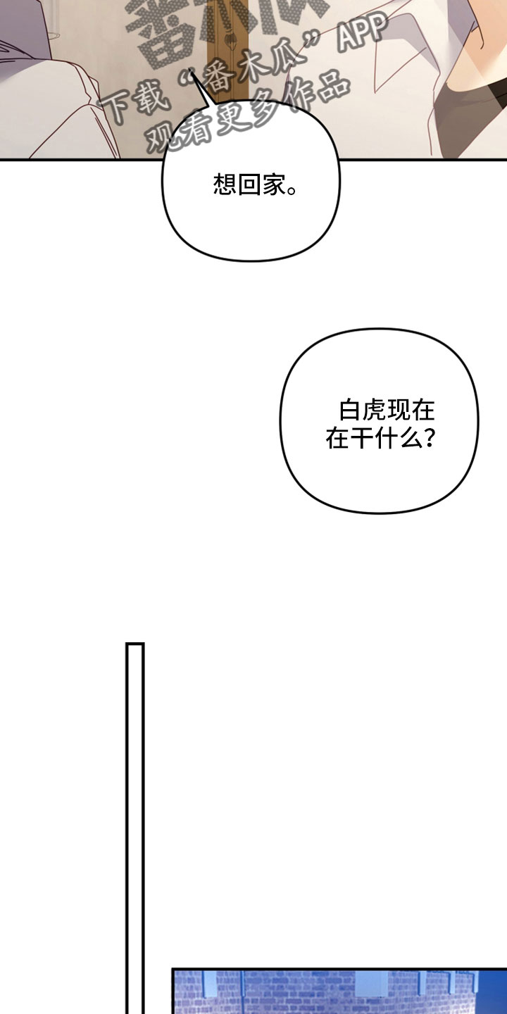 第43话11