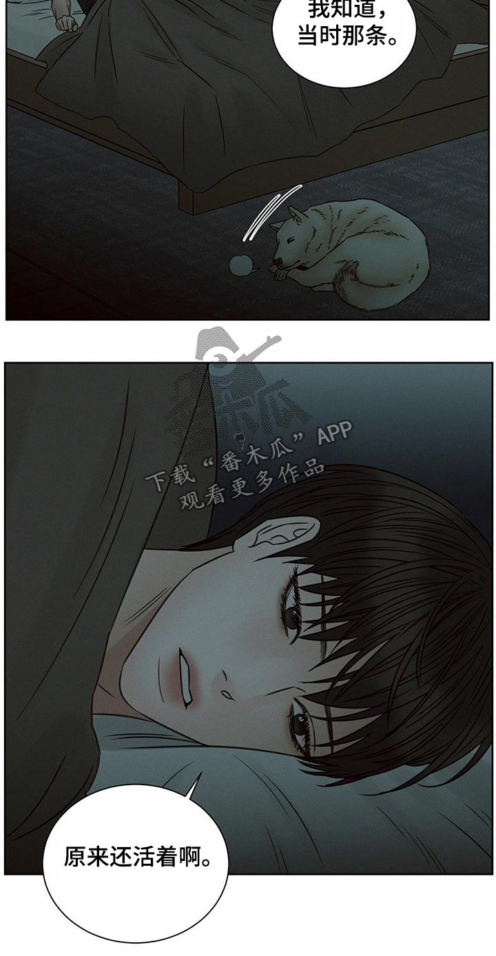 第115话24