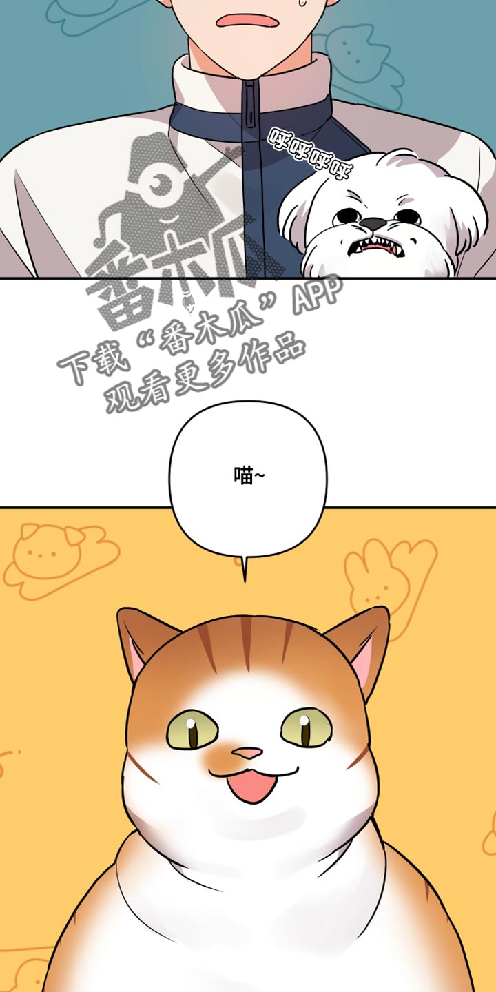 第179话17